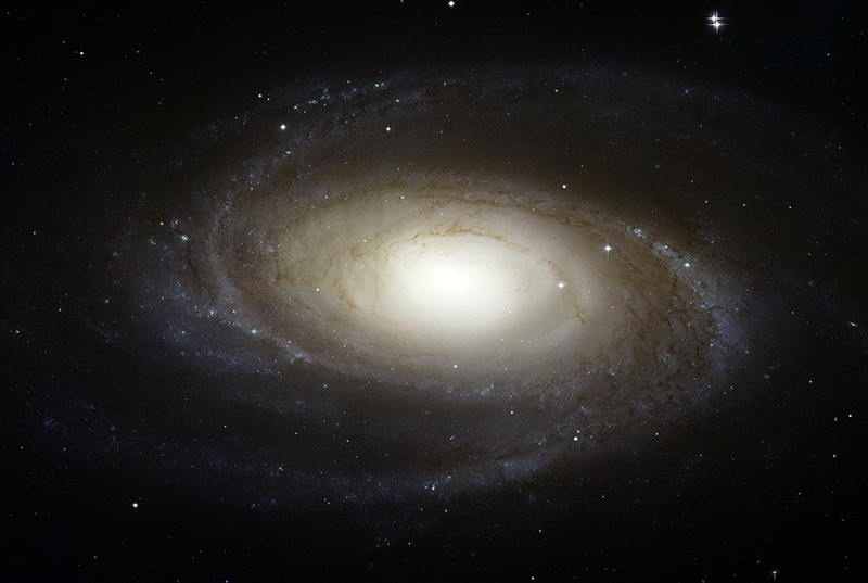 Спиральная галактика Messier 81 HST (NASA, ESA and the Hubble Heritage Team)