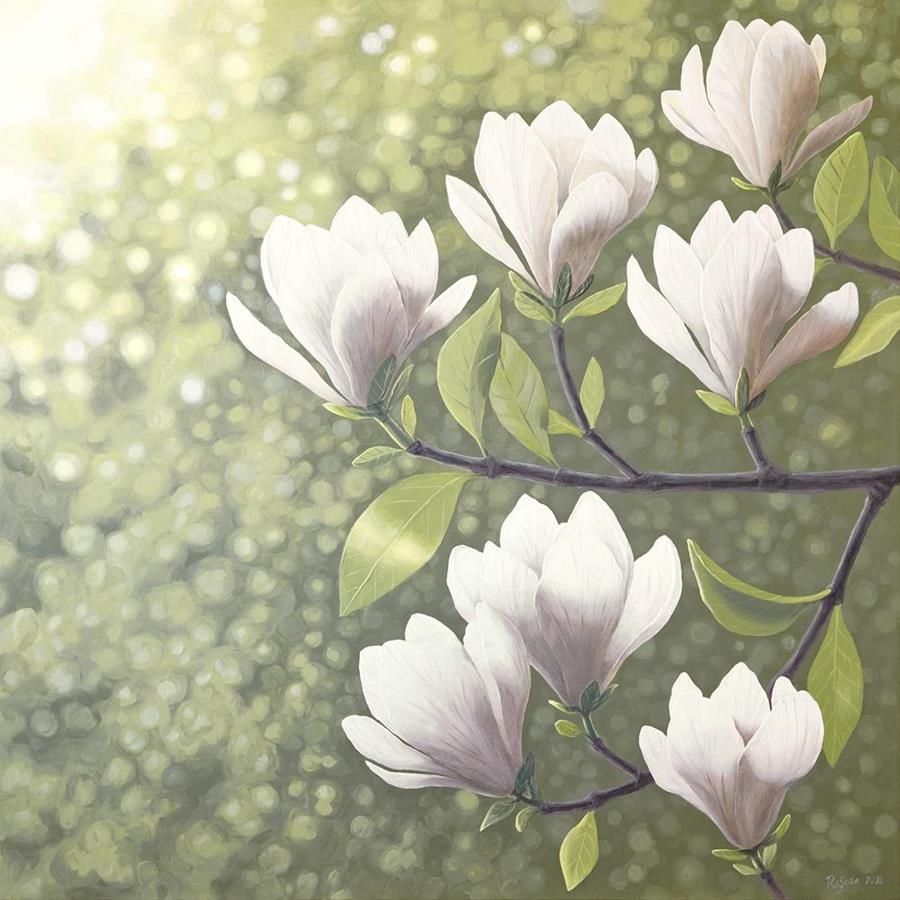 Магнолия
