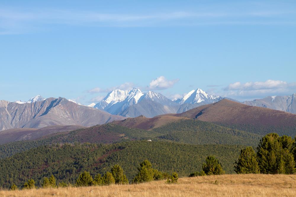 Природа Алтая