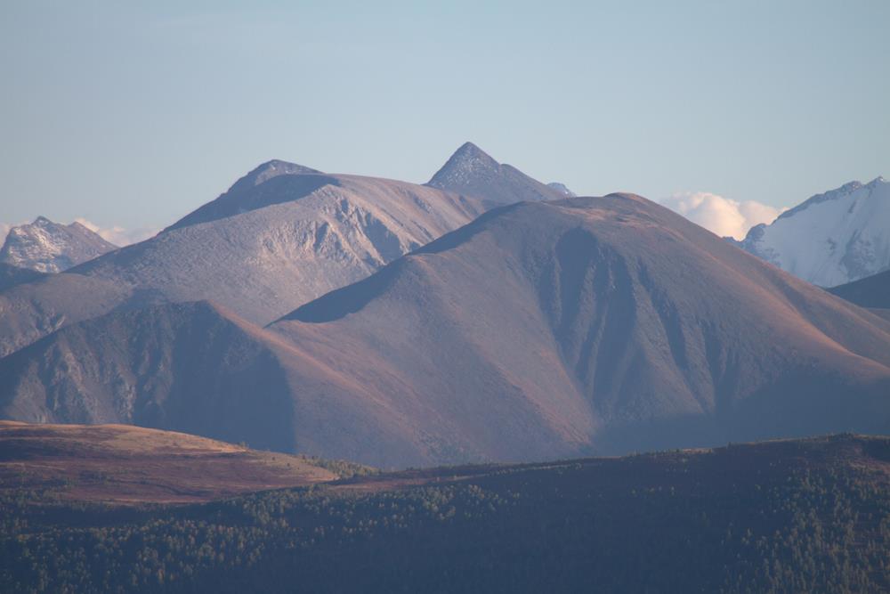 Природа Алтая