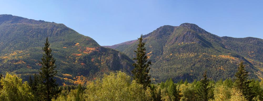 Природа Алтая
