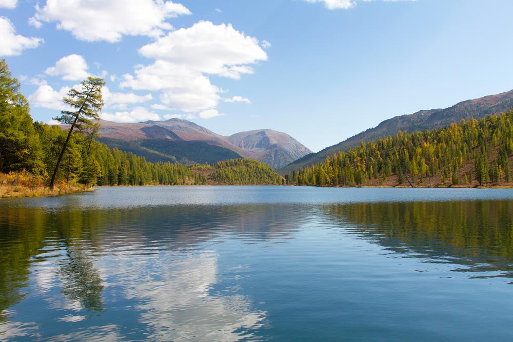 Природа Алтая