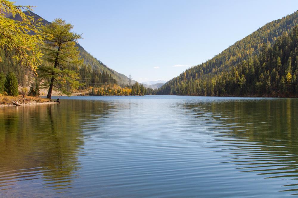 Природа Алтая