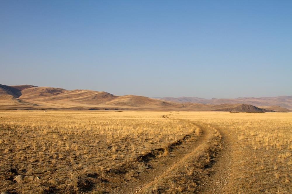 Алтайская природа