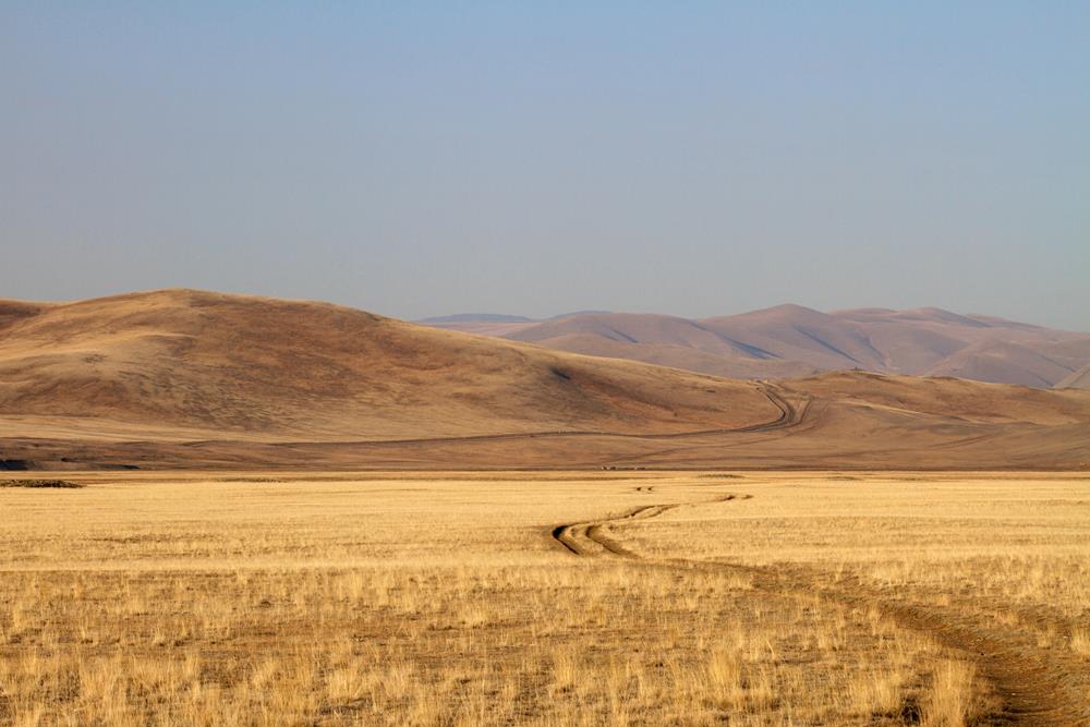 Алтайская природа