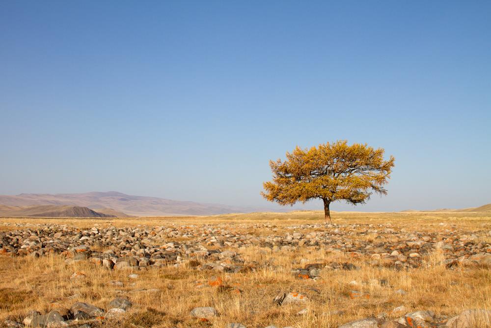 Алтайская природа