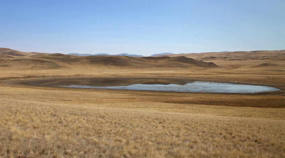 Алтай