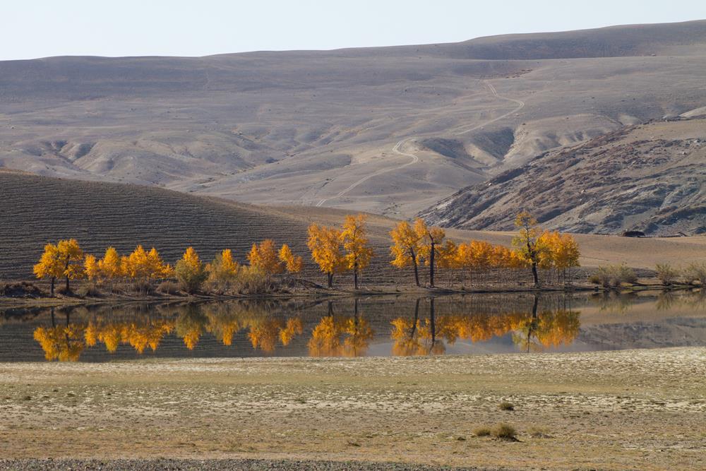 Алтайские пейзажи